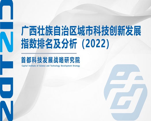 老师在办公室摸我胸舔我逼【成果发布】广西壮族自治区城市科技创新发展指数排名及分析（2022）